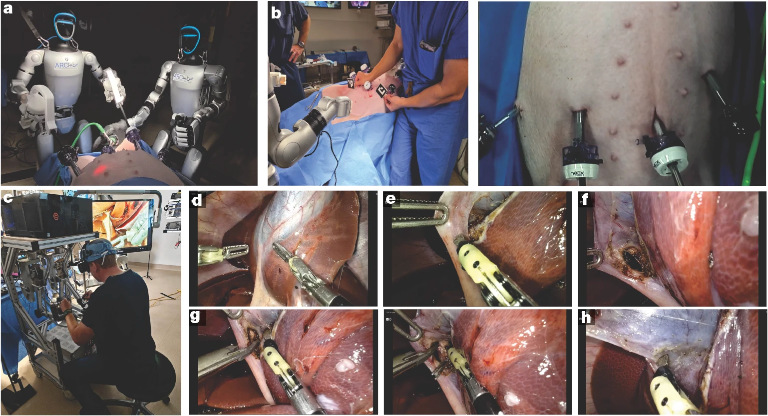 nature_surgery.webp